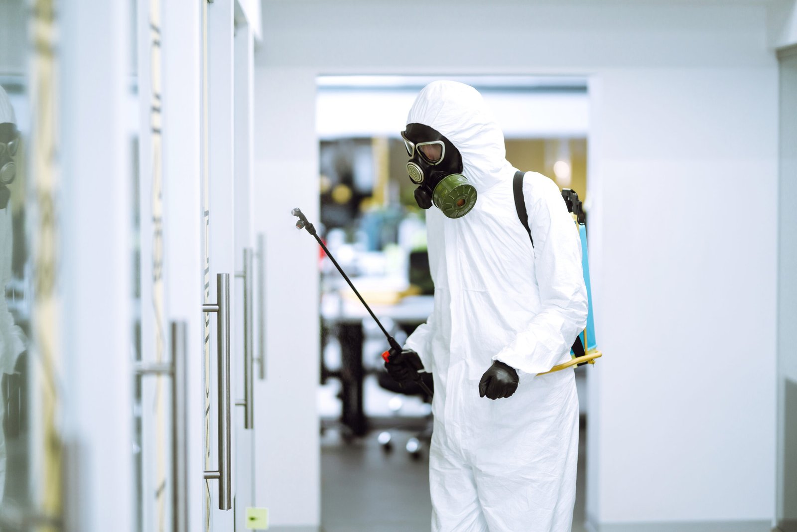 Pest Control Services